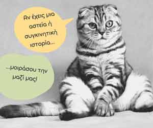 spot_img