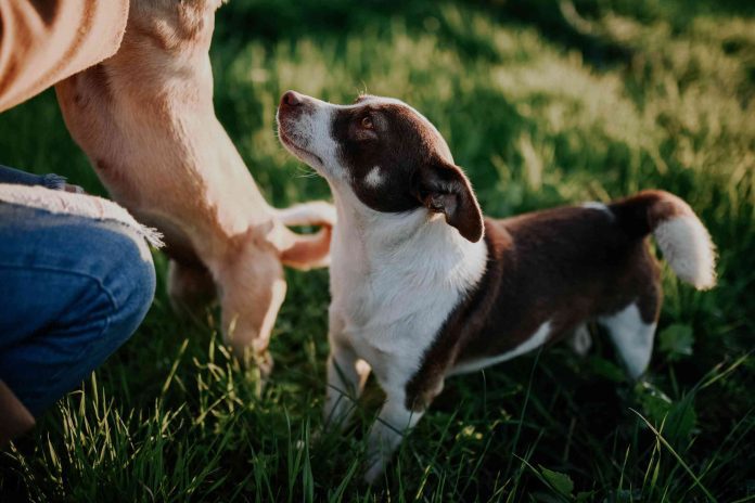 Photograph by Pexels