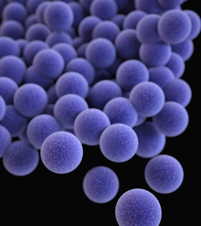 Αναπαράσταση του ανθεκτικού στη μεθικιλλίνη βακτηρίου Staphylococcus aureus (Photograph by Unsplash)