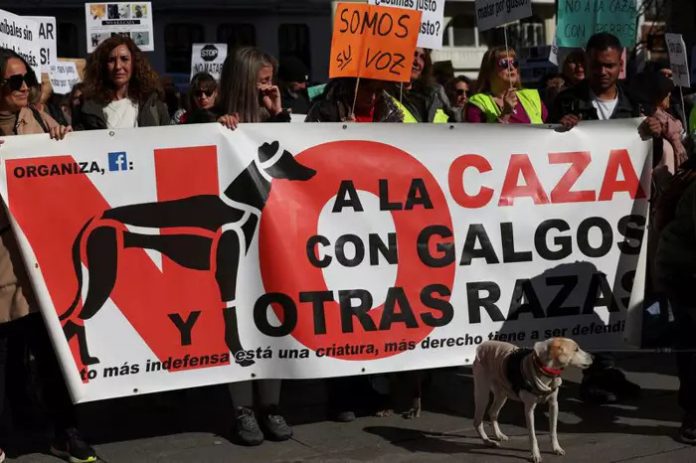 Χιλιάδες άνθρωποι διαδήλωσαν στο κέντρο της Μαδρίτης για να διαμαρτυρηθούν κατά του νομοσχεδίου που αποβλέπει στην ενίσχυση των δικαιωμάτων των ζώων (Φωτογραφία: Reuters/Violeta Santos Moura)