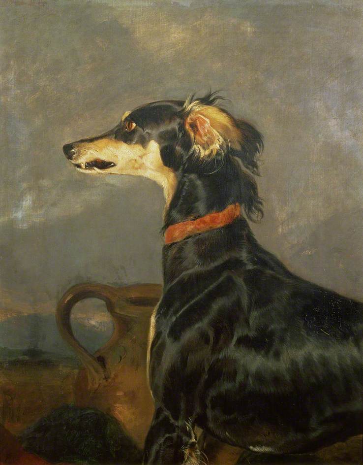 A Saluki Dog, 1840-4, by Edwin Landseer (Photograph: © Towneley Hall Museum)