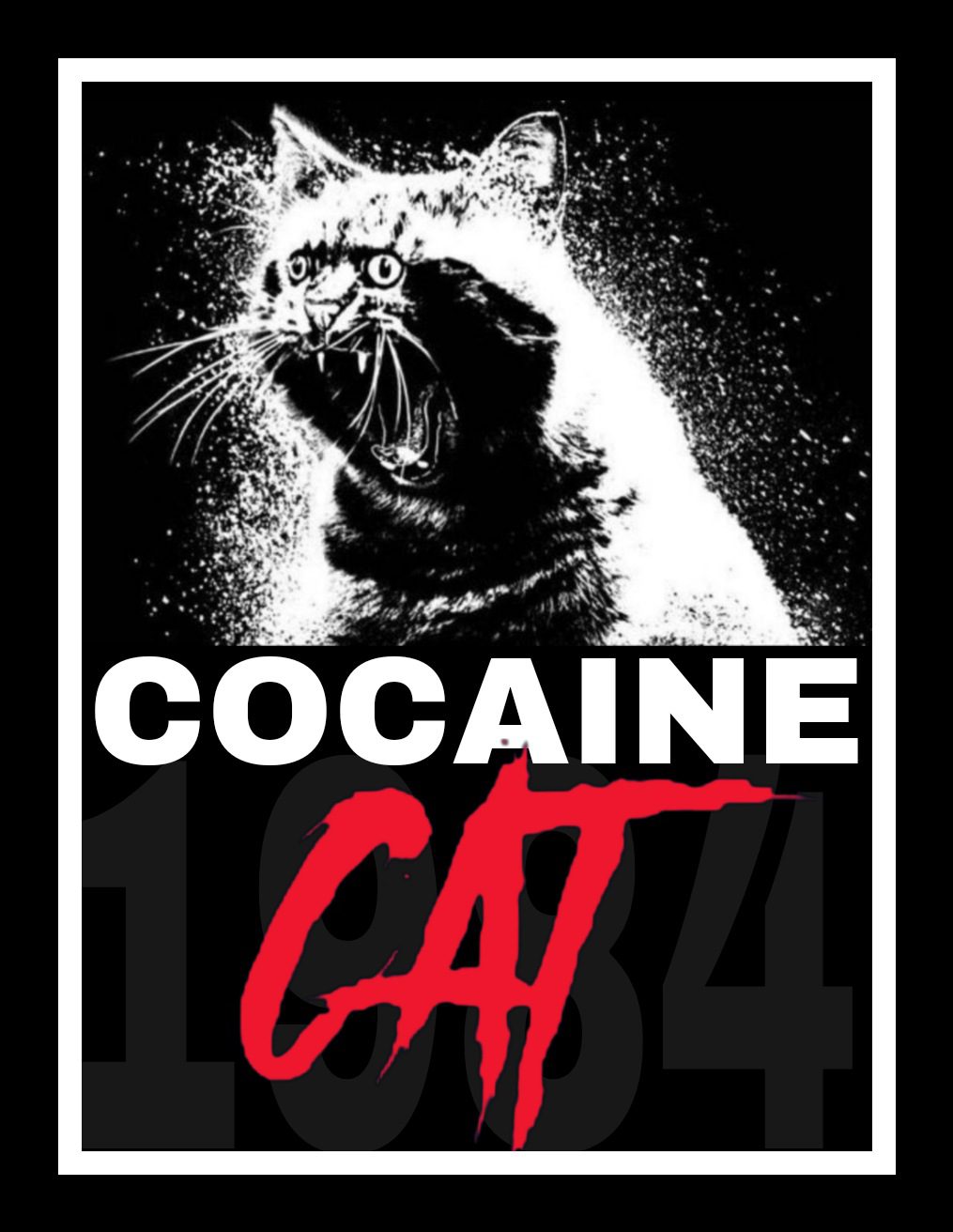 Cocaine Cat (Photo: Twitter)