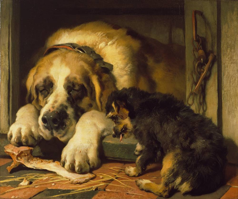 Doubtful Crumbs, 1858-1859, by Edwin Landseer (Photograph: © The Trustees of The Wallace Collection)