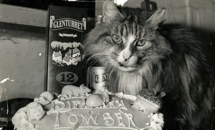 Η Τόουζερ, η καλύτερη κυνηγός ποντικιών στον κόσμο (1963-1987)