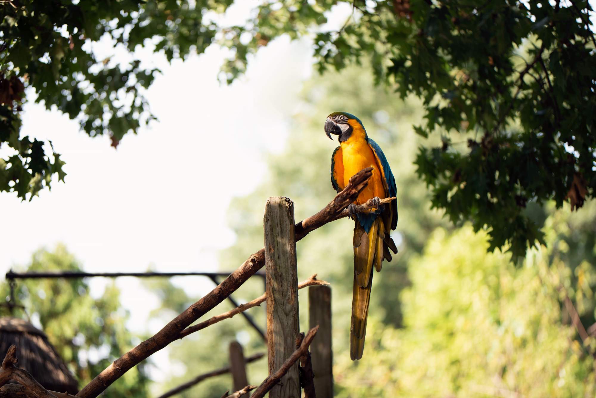 Photograph by Julissa Helmuth/Pexels