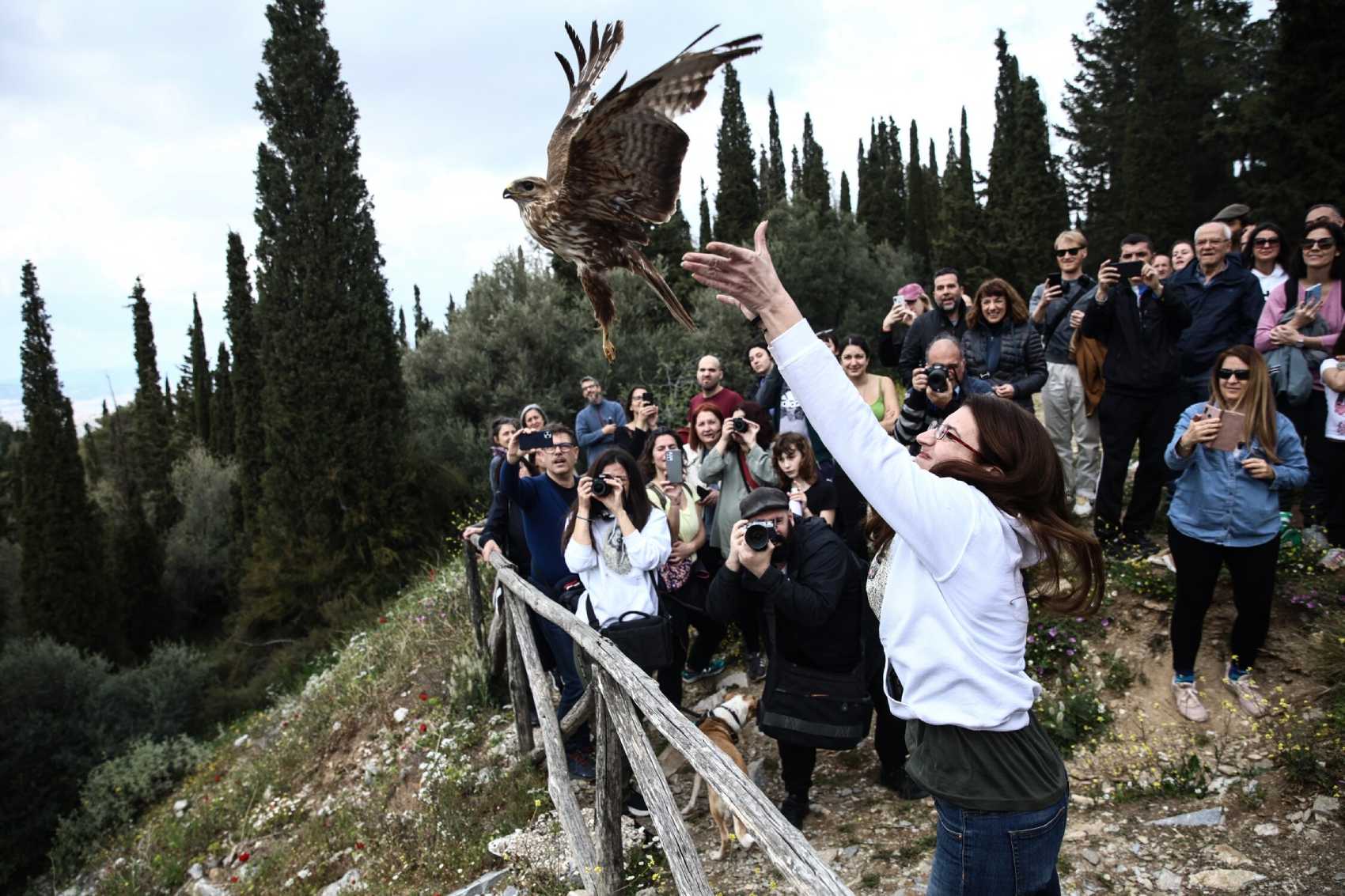 Φωτογραφία: Dimitris Kapantais / SOOC