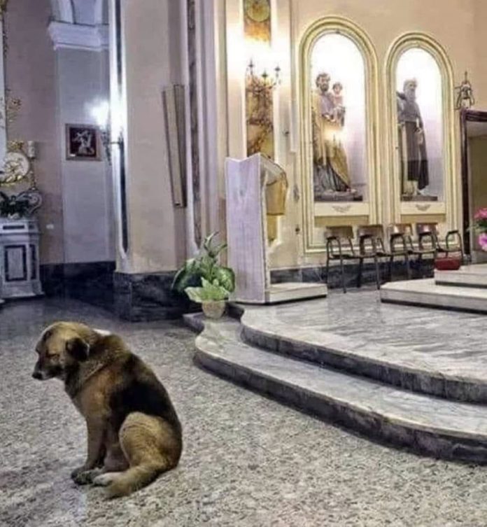 Ο λυπημένος, ήρεμος Τόμι στο εσωτερικό της εκκλησίας (Φωτογραφία: Φίλοι της Τέχνης και της Φιλοσοφίας/Facebook)