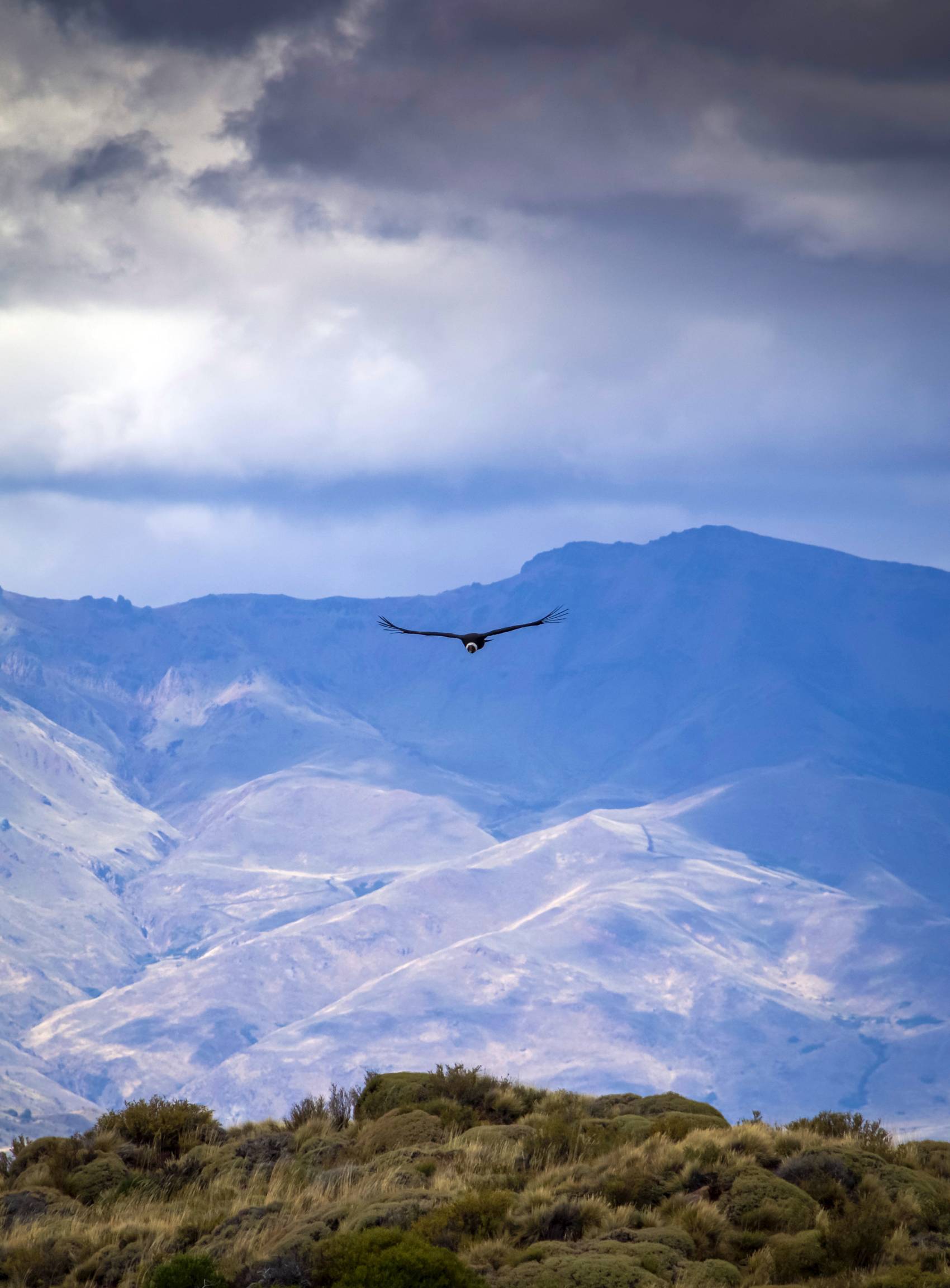 Photograph by Nicolas Diaz/Pexels