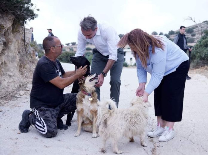 Καταφύγιο