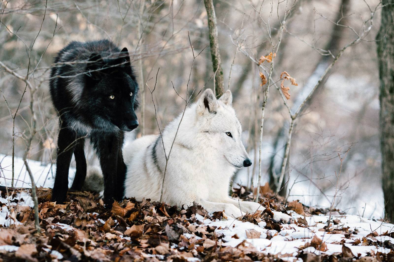 Photograph by Shelby Waltz/Pexels