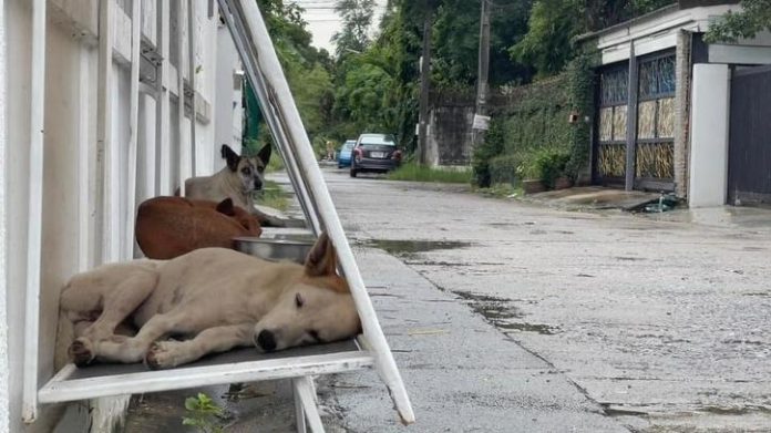 Ταϊλάνδη