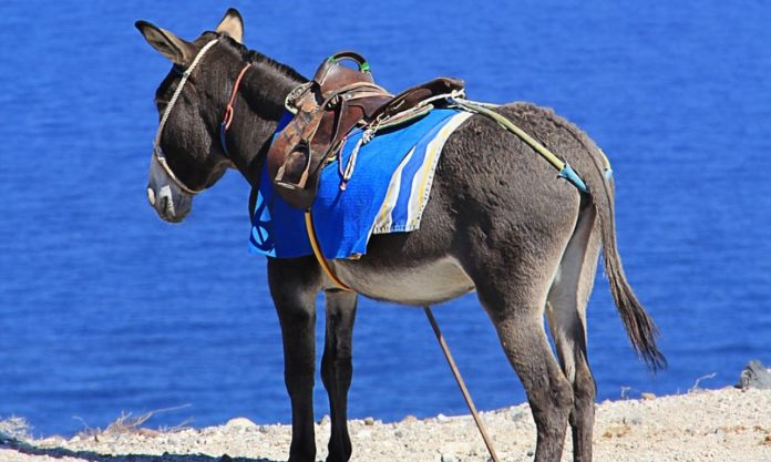 Κάρπαθο