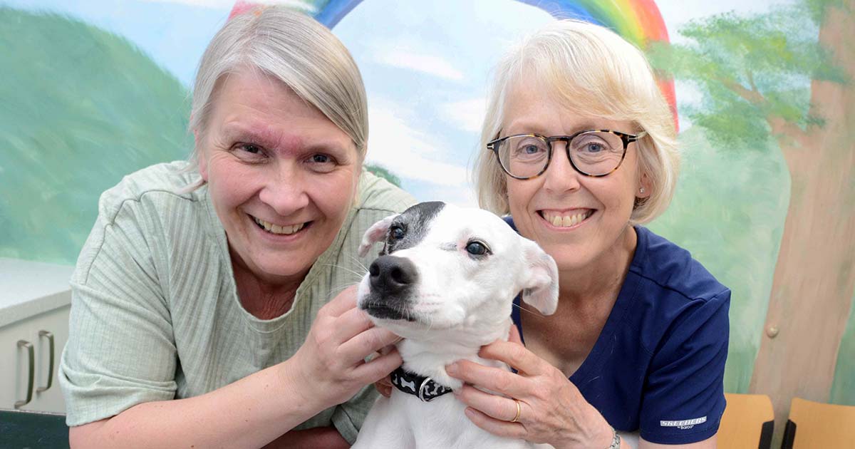 H Τζένι Χάραντ με την σκυλίτσα της, την Τίλι, και την κτηνίατρο Τζο Πάτρικ (δεξιά) μετά από έλεγχο στο κτηνιατρείο τού Eastfield Vets (Photo: © Eastfield Vets)