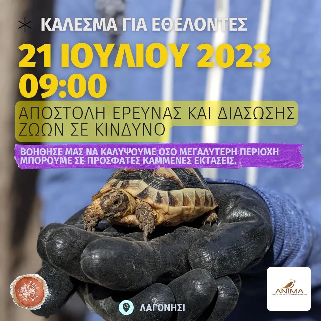 διάσωση