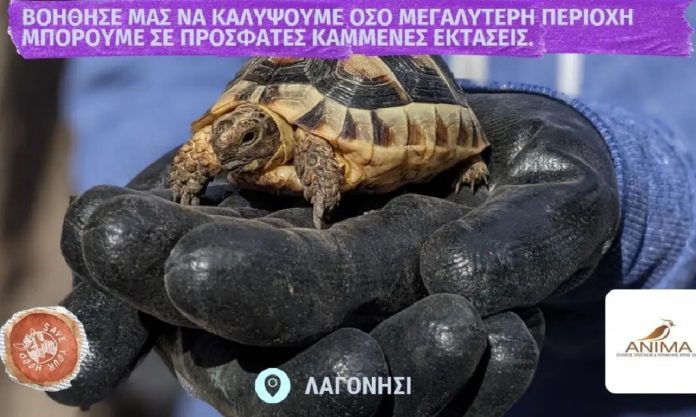 διάσωση