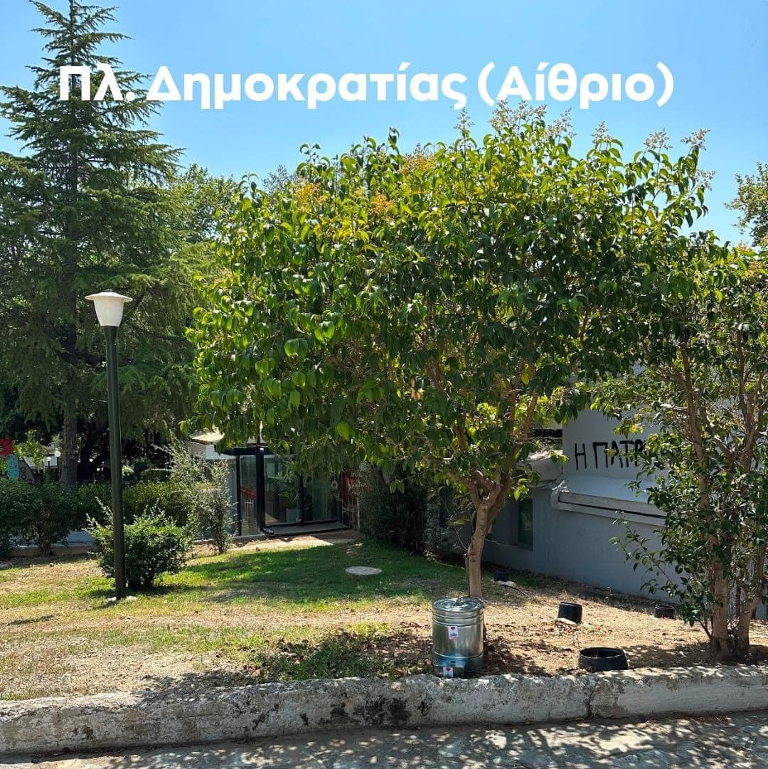 αδέσποτα