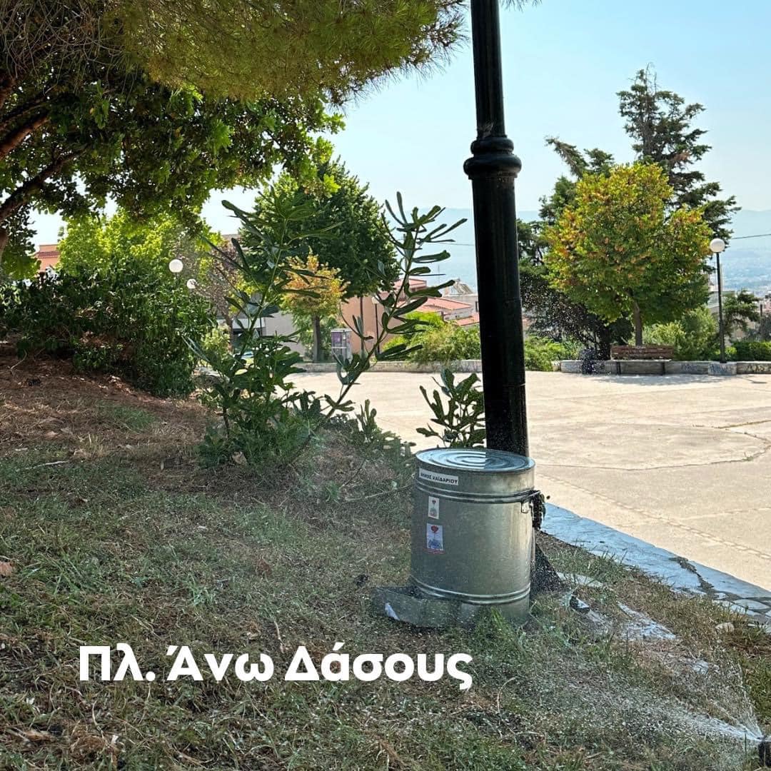 αδέσποτα