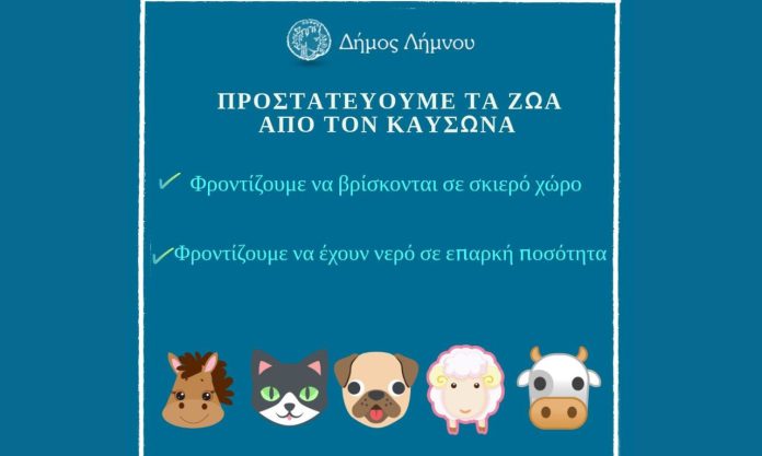 ζώων