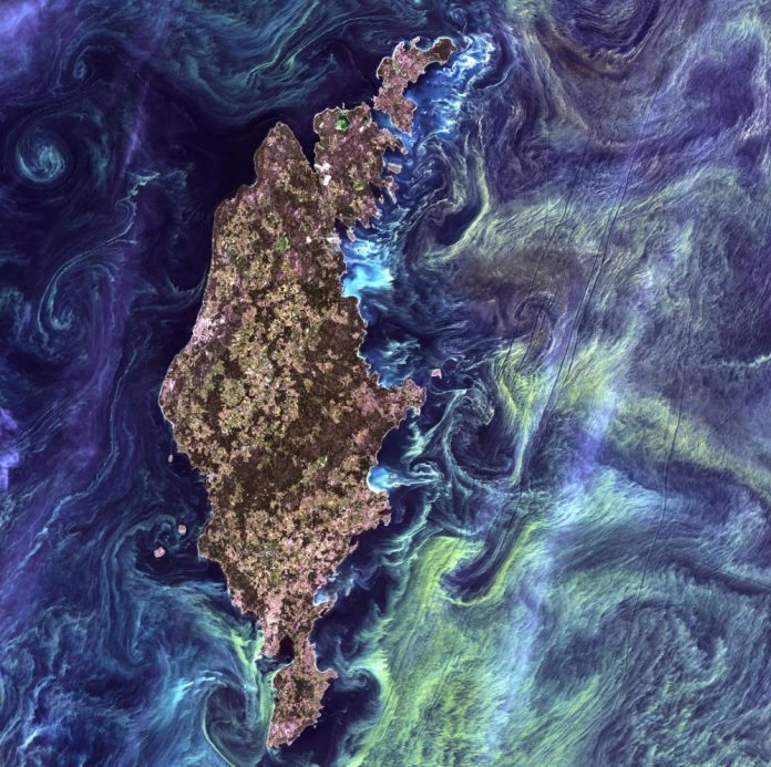 Το μικροσκοπικό φυτοπλαγκτόν αποτελεί κρίσιμο μέρος των ωκεάνιων οικοσυστημάτων και είναι απαραίτητο για τη ζωή όπως τη γνωρίζουμε (Photo: NASA)