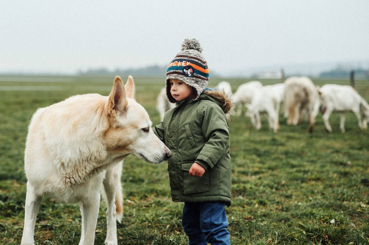 Photo: Helena Jankovičová/Pexels