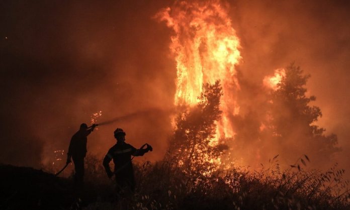 Πυροσβέστες μάχονται με τις φλόγες στην Εύβοια (Photo: newsbomb.gr)