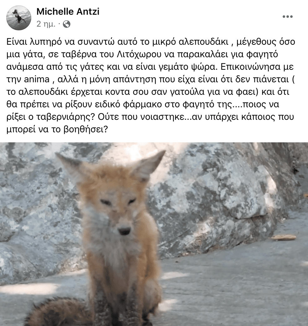 Φαγητό