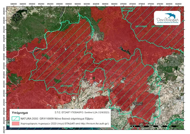 Περίπου το 85% της έκτασης της περιοχής NATURA (ΖΕΠ) GR1110009 «Νότιο Δασικό Σύμπλεγμα Έβρου», εντός της οποίας αδειοδοτήθηκε ο ΑΣΠΗΕ, εμπίπτει εντός της καμένης έκτασης από τη φετινή πυρκαγιά του Έβρου