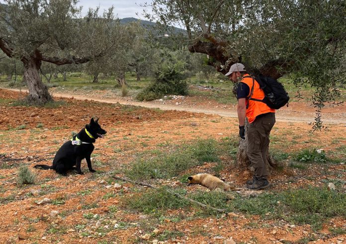 δηλητηριασμένων