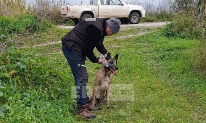 έρευνες