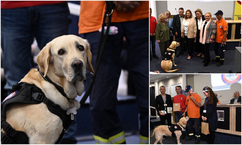 Κολάζ pet-in.gr - Φωτ.: Πανελλαδική Φιλοζωική και Περιβαλλοντική Ομοσπονδία