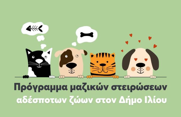 στειρώσεων