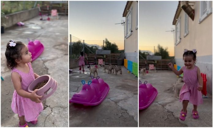 Σπάρτη
