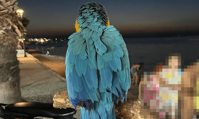 Πρόστιμο