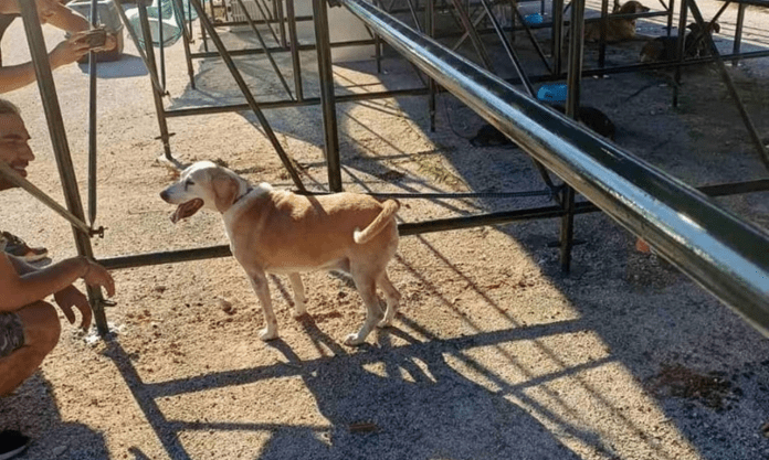 Αττικής