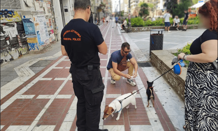 συντροφιάς