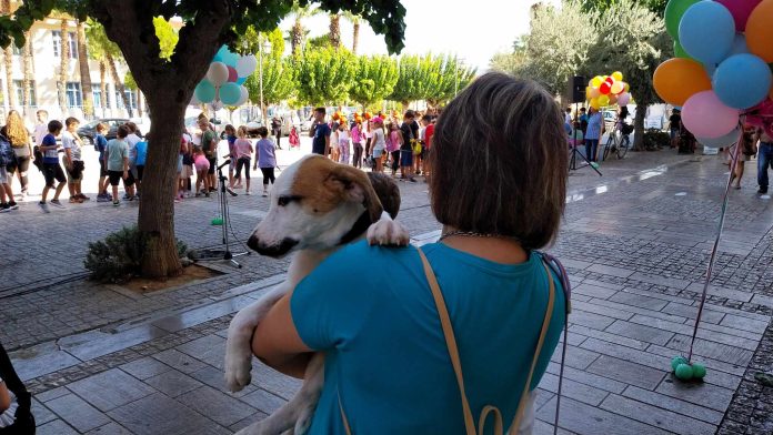 Ναύπλιο