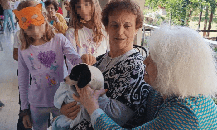 παιδιά