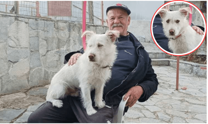 θανάτωση
