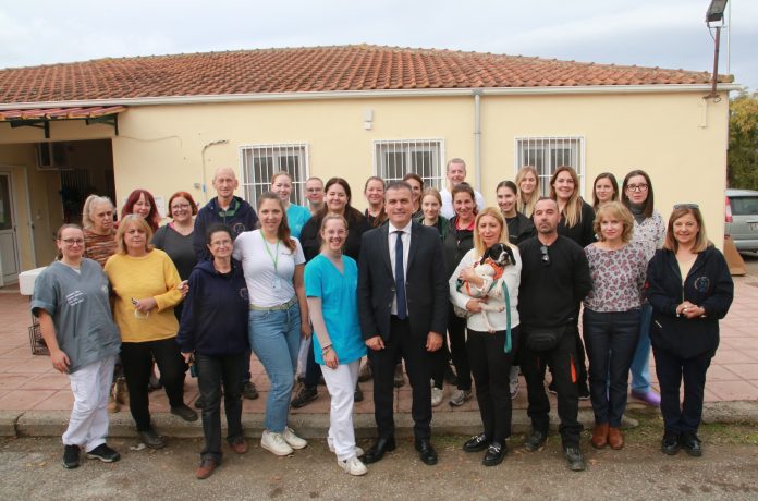 στειρώσεις
