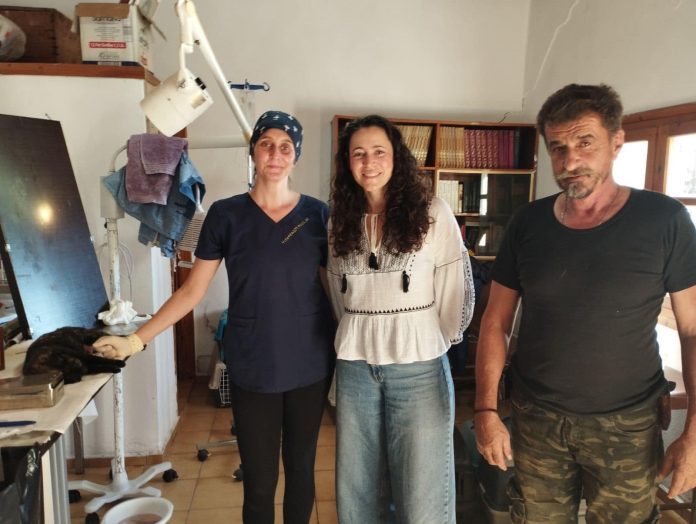 διήμερο