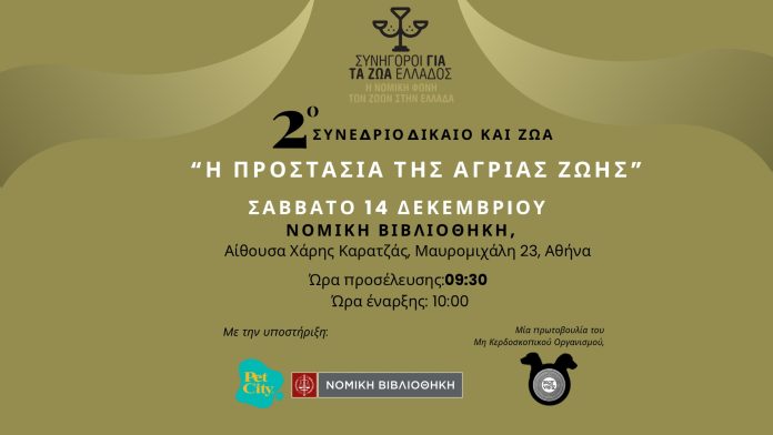 Δίκαιο