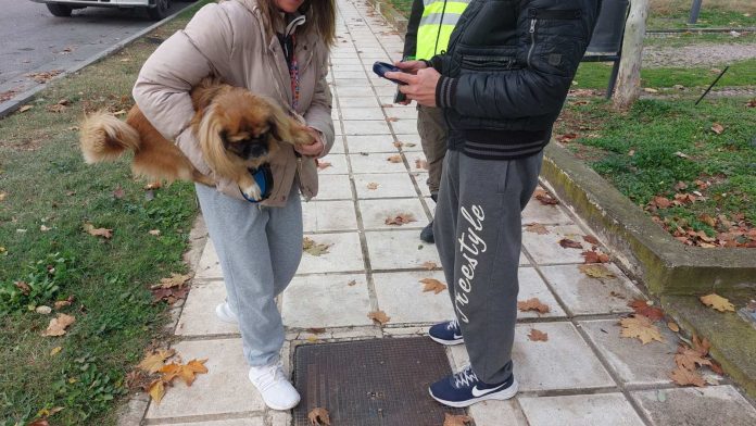 ιδιοκτήτες