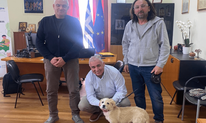 Αδέσποτα