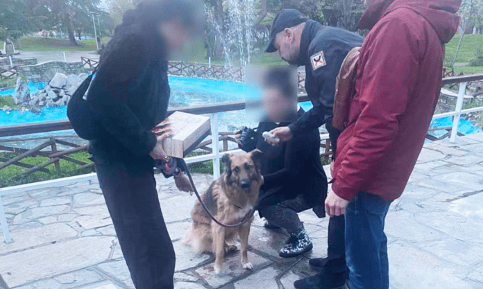 νομοθεσίας