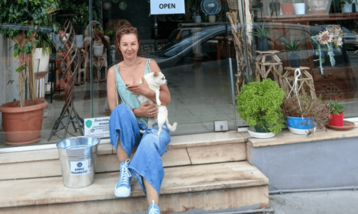 αδέσποτα