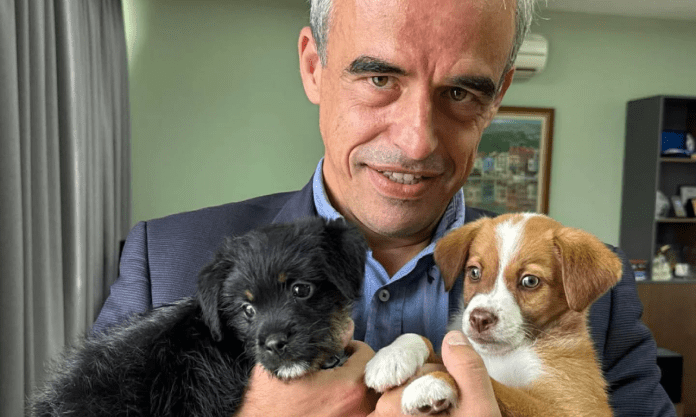 οικογένεια