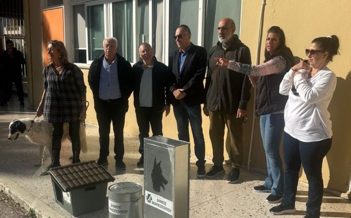 δράση